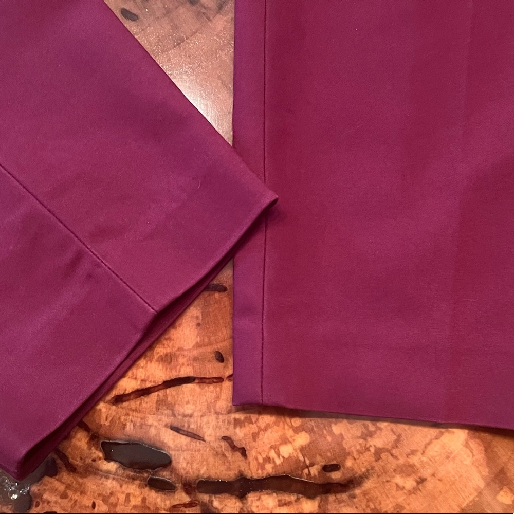 Express Size 10 R Columnist Pant - Picture 2 of 7